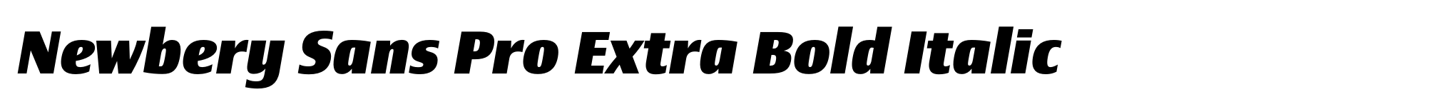 Newbery Sans Pro Extra Bold Italic image